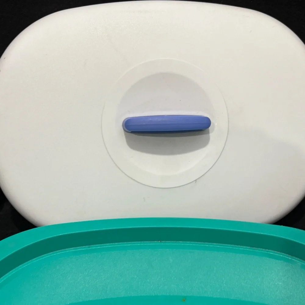TUPPERWARE Teal Shallow Oval Dish 1 3/4 Cups Lid #3184A-3 & Bottom #3190A-2